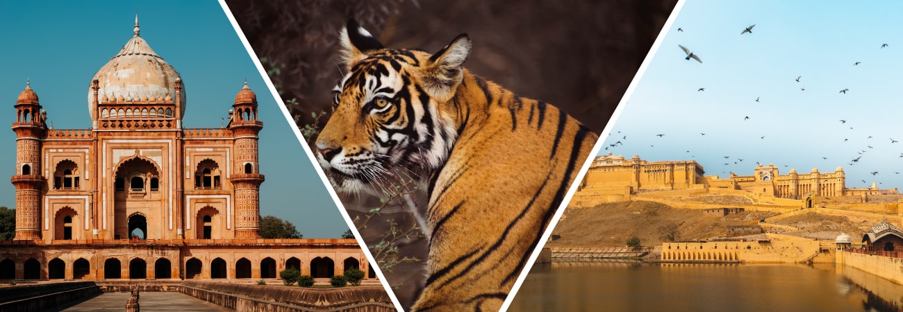 Ranthambore Safari Tour